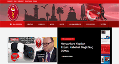 Desktop Screenshot of izmir-vho.org